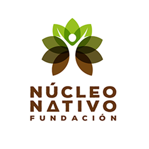 www.nucleonativo.cl