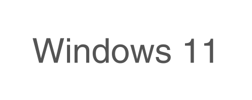 windows 11